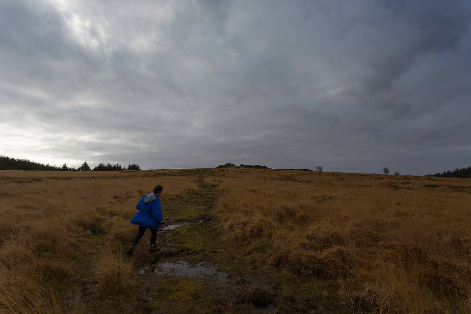 bog  hopping